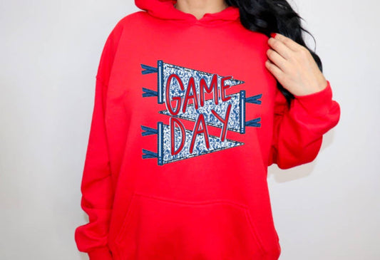 Preppy Chinoiserie Game Day Hoodie Sports Football 